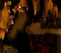 une photo d'Ã©cran de Donkey Kong Country sur Nintendo Super Nes